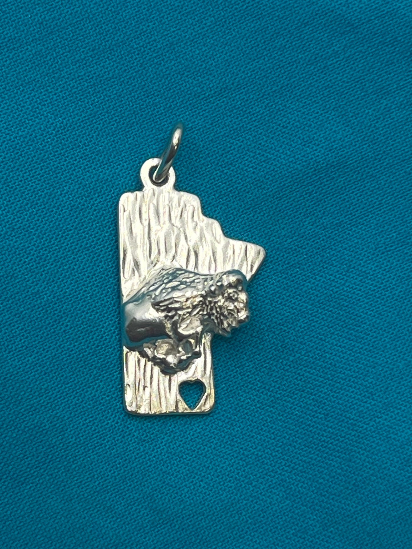 Manitoba with Bison |