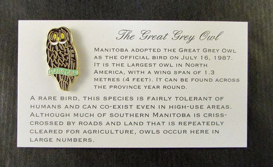 Grey Owl Lapel Pin | Épinglette chouette lapone
