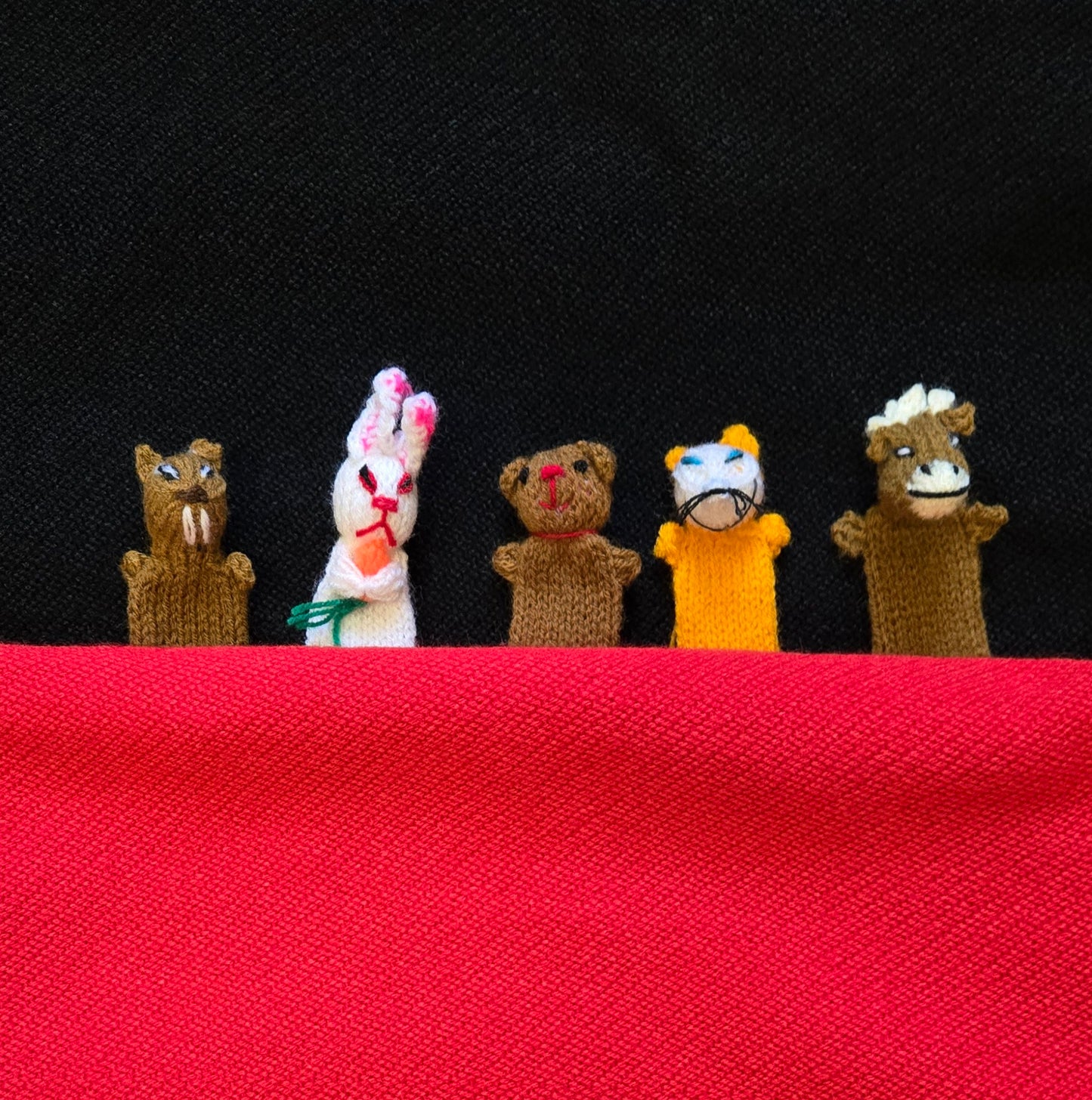 Finger Puppet | Marionnette à doigt