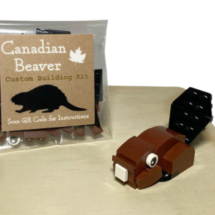 Kit de construction Beaver |