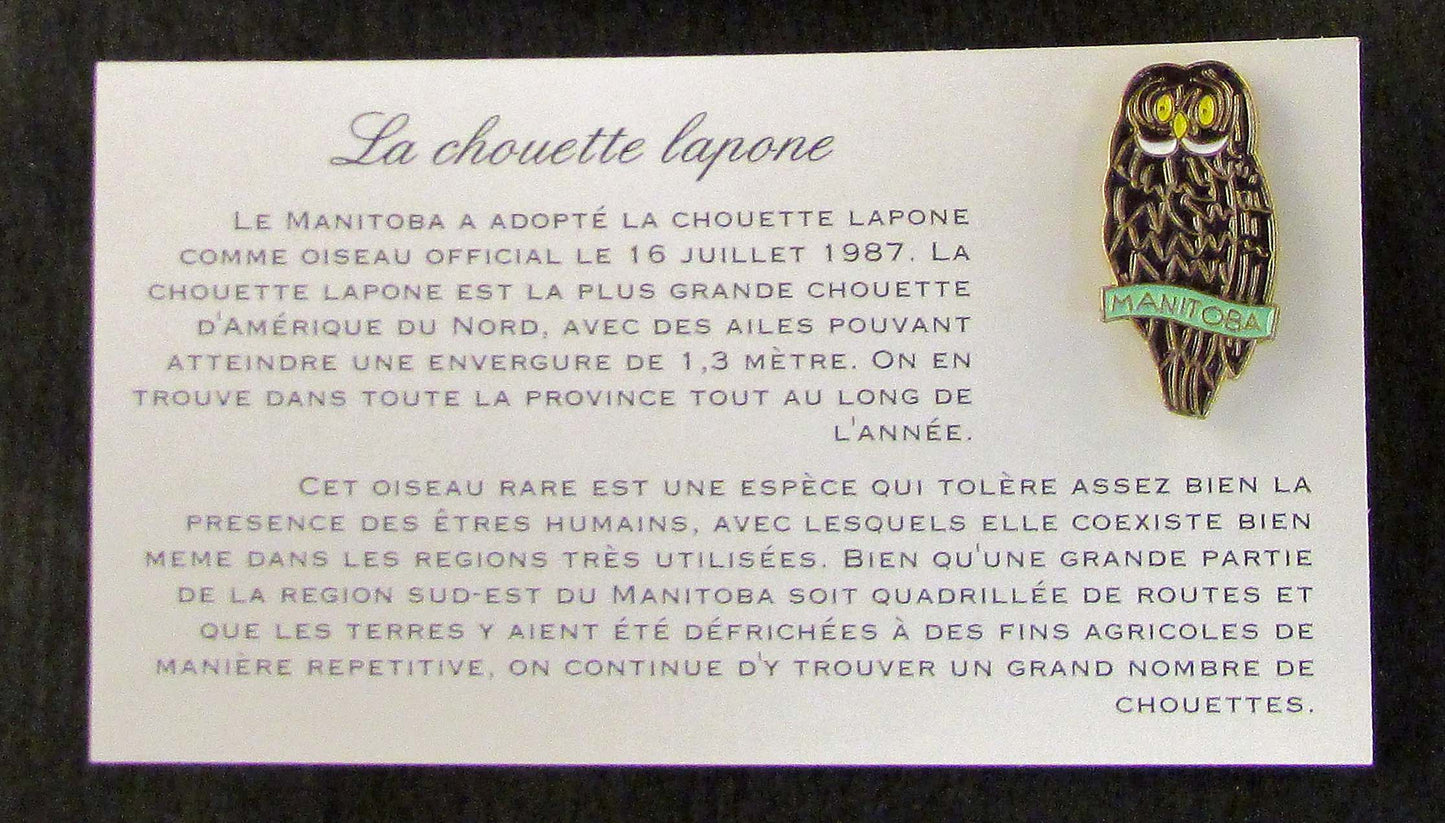 Grey Owl Lapel Pin | Épinglette chouette lapone