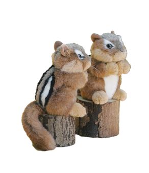 Stuffed Chipmunk | Chipmon en peluche