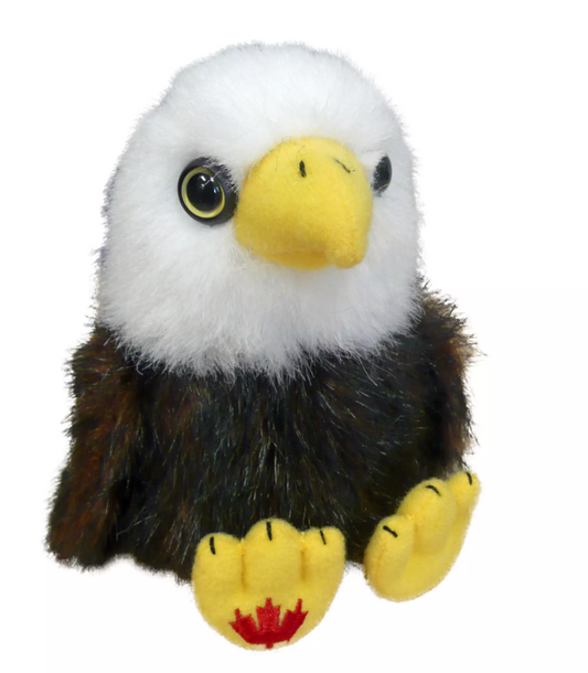 Maple Bold Eagle |