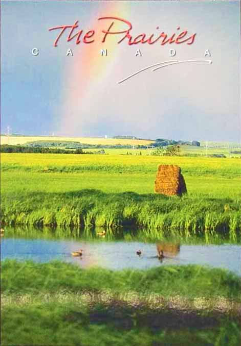 Prairie Rainbow | Carte-postale arc-en-ciel des praries