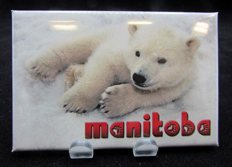 Bear Cub Magnet | Aimant d'un ourson